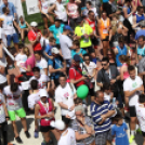 XV. Greiner Szigetköz Félmaraton