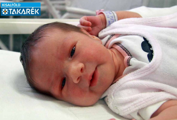 Tuba Petra, Mosonmagyaróvár