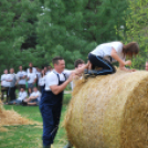Parasztolimpia 2013 - 1 (Fotó: Nagy Mária)