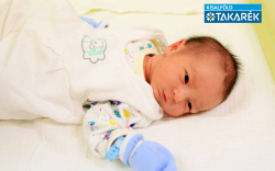 Kiss Dominik, Halászi