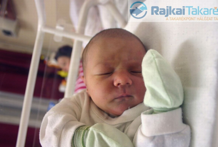 Éder Dániel István, Mosonmagyaróvár