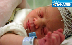 Németh Dorián, Mosonmagyaróvár