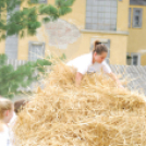 Parasztolimpia 2013 - 1 (Fotó: Nagy Mária)