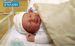 Rákász Dominik, Mosonmagyaróvár