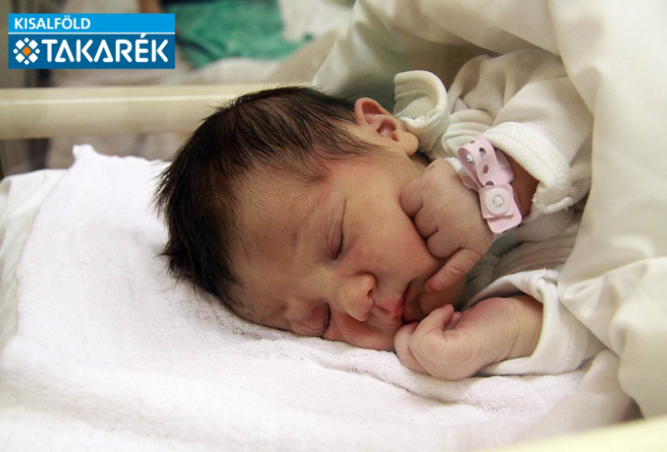 Nagy Daniela, Halászi