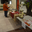 XVII. Mosonmagyaróvári Civil Nap