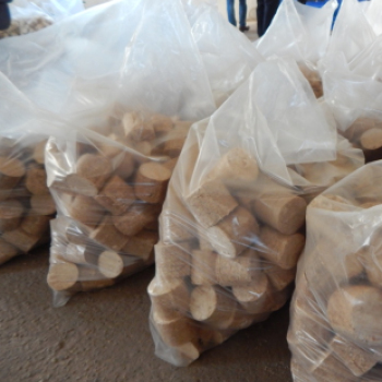 Brikett üzem átadó Mosonmagyaróvár- 2014.08.29.