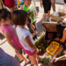 Apró Kezek, Csodakertek