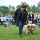 CAC kutyakiállítás (Fotó: Nagy Mária)