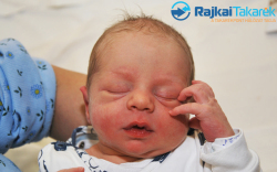 Pénzes Máté, 3320 gr. Kimle