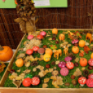 X. Jánossomorjai Tökfesztivál (Fotó: Horváth Attila)