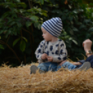 Szigetköz ízei, vármegye borai fesztivál - péntek (Fotó: Nagy Mária)