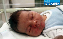 Pőcz Noel, Máriakálnok