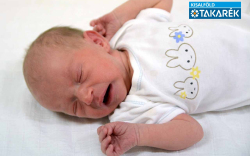 Farkas Mirella, Mosonmagyaróvár