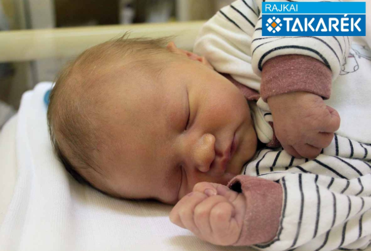 Horváth Dilen, Mosonmagyaróvár