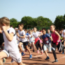 XV. Greiner Szigetköz Félmaraton