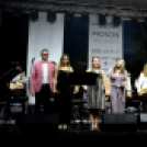 Tiszta Amerika - Vár-tó party