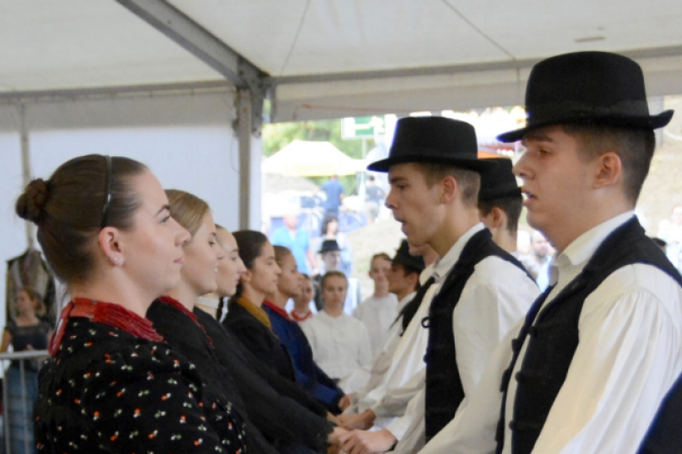 XI.Szigetköz ízei, Vármegye borai Fesztivál 1. nap