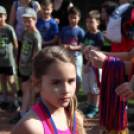 XV. Greiner Szigetköz Félmaraton