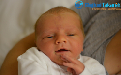 Gutori Milán, 4090 gr. Darnózseli