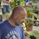 Mosonmagyaróvári Jótékonysági Családi Nap