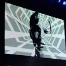 Voluta 1 nap (Fotó: Stipkovits Veronika és Bánhegyi István)