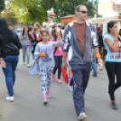 Szigetköz ízei, vármegye borai fesztivál - péntek (Fotó: Nagy Mária)