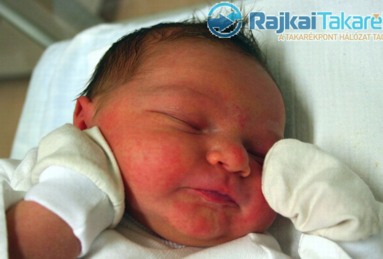 Tóth Trisztán, Arak