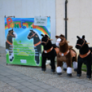 Városközpontiak napja péntek (Fotó: Nagy Mária)