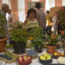 Termény- és virágkiállítás 