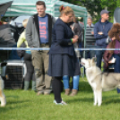 CAC kutyakiállítás (Fotó: Nagy Mária)