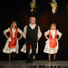 Ünnepi gálaműsor a tánc világnapja tiszteletére - Szigeti Gábor táncpedagógus emlékére