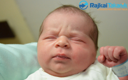 Spakovszky Zsófia, 3310 gr. Máriakálnok