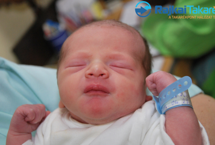 Molnár Noel Gábor, 2730 gr. Darnózseli