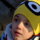 Madaras nap a Pillangó Óvoda és Mini Bölcsődében 