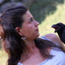  Szigetköz ízei, Vármegye borai Fesztivál 2. nap (Fotó: Stipkovits Veronika, Bánhegyi István)