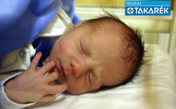 Molnár Ágoston Áron, Mosonmagyaróvár