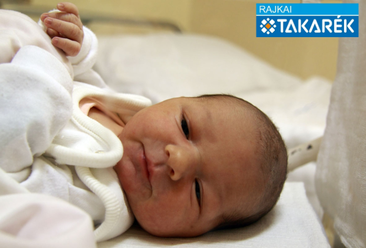 Kovács Lara, Halászi