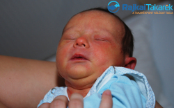 Laskovics Ákos, 3340 gr. Darnózseli