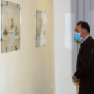 Ki engedte ki a macikat?