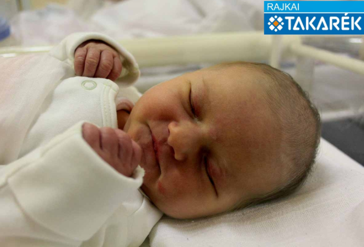 Bertalan Flóra, Mosonmagyaróvár