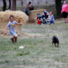 XI. Szigetköz ízei, Vármegye borai Fesztivál 3. nap 