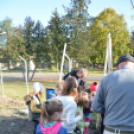 Faültetés a Nolato-nál (Fotó: Nagy Mária)