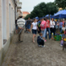 VI. Apró kezek, Csodakertek Gyermek Kertépítő verseny (Fotó: Bánhegyi István)