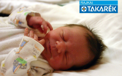 Cseh Boglárka, Máriakálnok