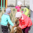 Húsvét a Pillangó Óvoda és Minibölcsiben 