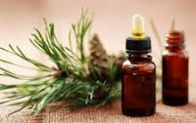 Herbamesék: Még többet a fenyőről...