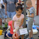 VII. Apró kezek, csodakertek Gyermek Kertépítő verseny