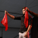 XI. Szigetköz ízei, Vármegye borai Fesztivál 3. nap