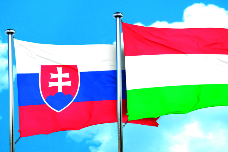 Újabb mérföldkőhöz érkezett a megyei önkormányzat vezető partnerségével megvalósuló határon átnyúló projekt 